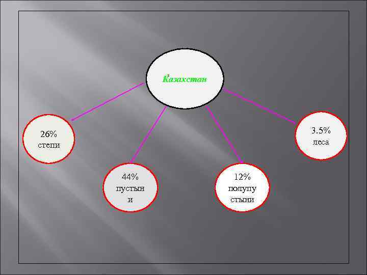 Казахстан 3. 5% леса 26% степи 44% пустын и 12% полупу стыни 