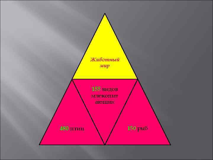 Животный мир 155 видов млекопит ающих 480 птиц 150 рыб 