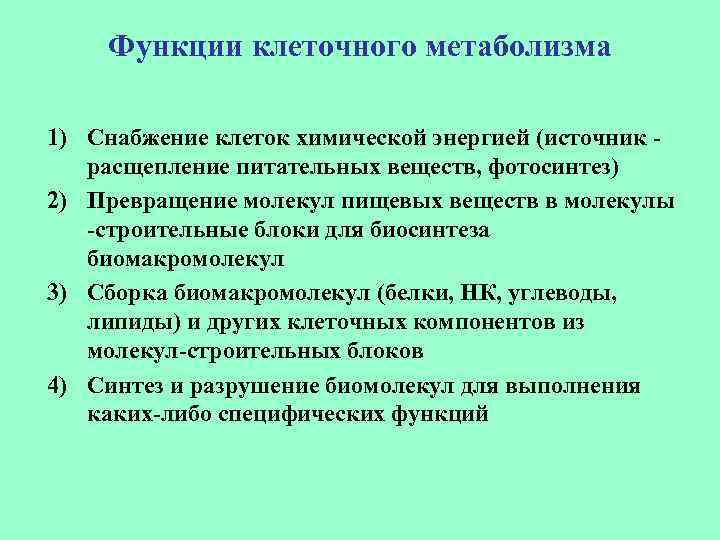 Функции клеточного метаболизма 1) Снабжение клеток химической энергией (источник расщепление питательных веществ, фотосинтез) 2)