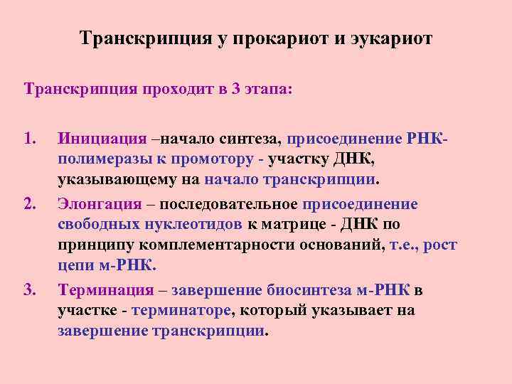 Транскрипция у прокариот и эукариот Транскрипция проходит в 3 этапа: 1. 2. 3. Инициация