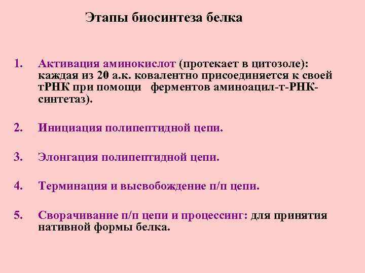 Этапы биосинтеза белка 1. Активация аминокислот (протекает в цитозоле): каждая из 20 а. к.