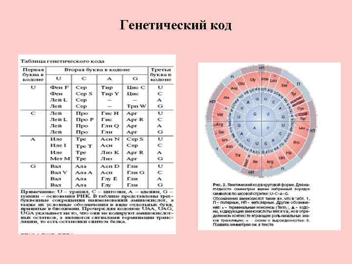 Генетический код 