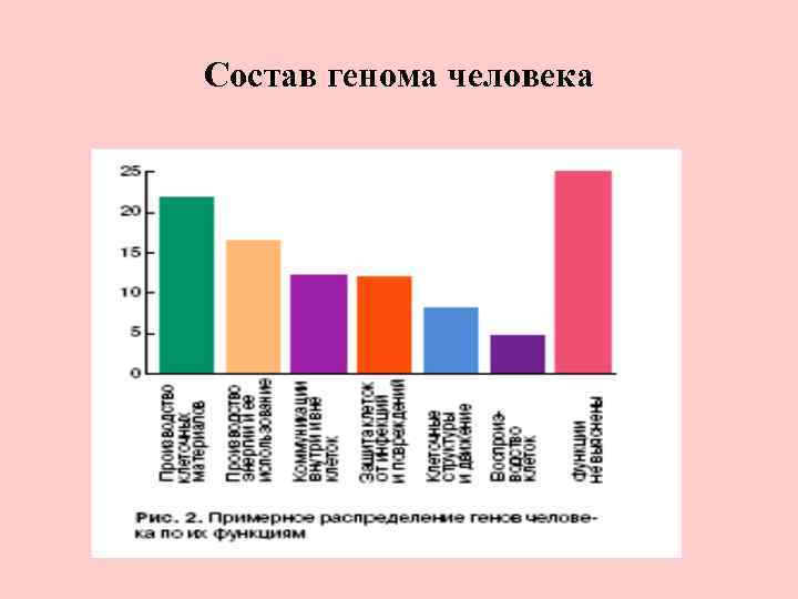 Геном человека таблица. Состав генома человека. Структура генома человека. Схема отражающая состав генома человека. Геном человека процентный состав.