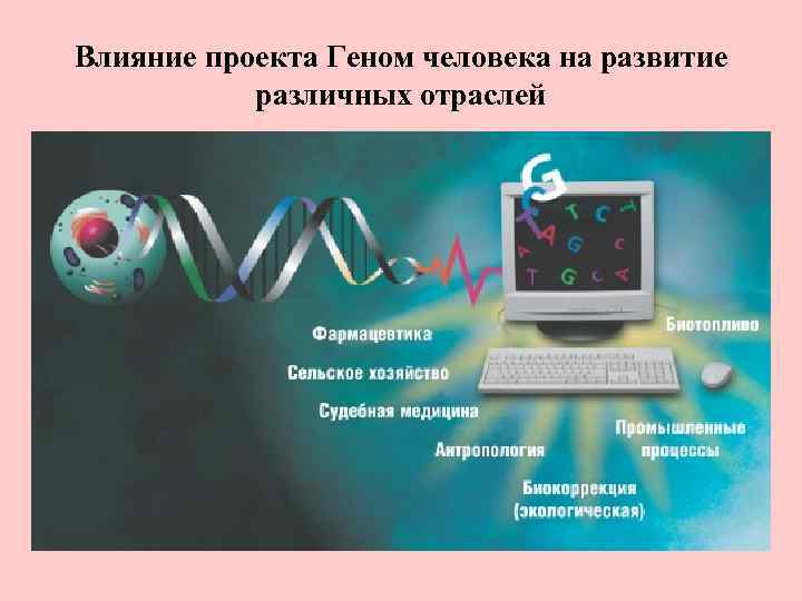 Влияние проекта Геном человека на развитие различных отраслей 