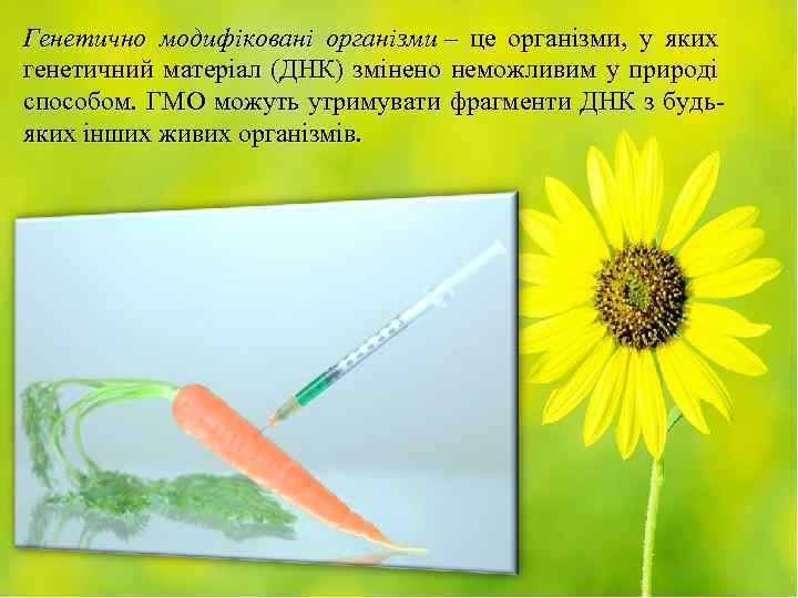 Генетично модифіковані організми – це організми, у яких генетичний матеріал (ДНК) змінено неможливим у
