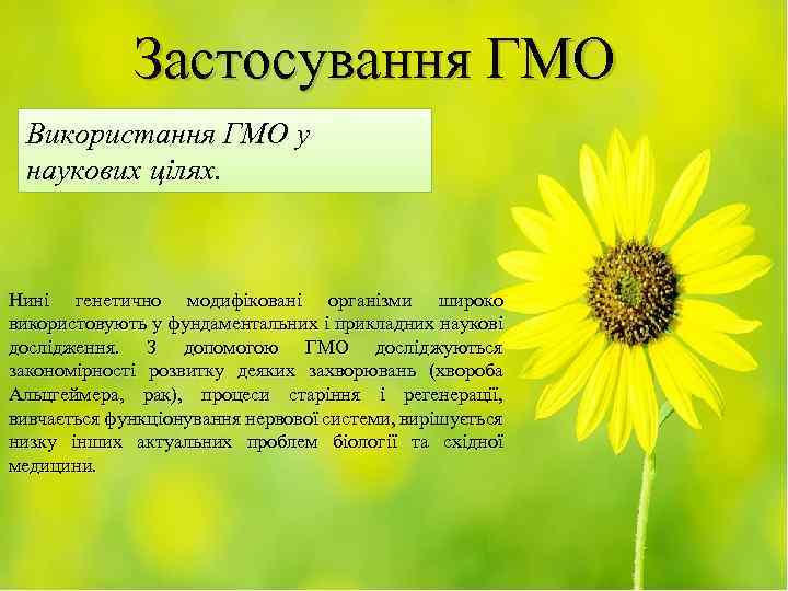 Застосування ГМО Використання ГМО у наукових цілях. Нині генетично модифіковані організми широко використовують у