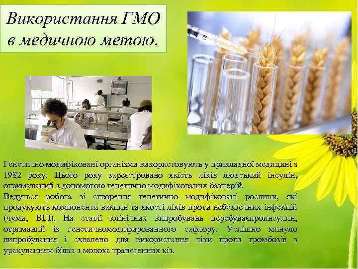 Використання ГМО в медичною метою. Генетично модифіковані організми використовують у прикладної медицині з 1982