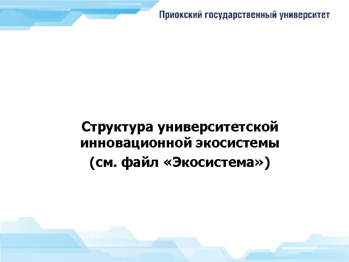 Структура университетской инновационной экосистемы (см. файл «Экосистема» ) 