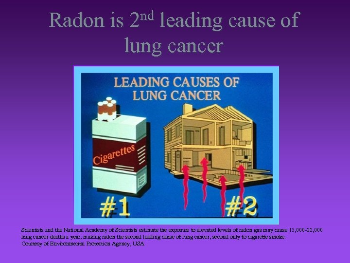 Radon is 2 nd leading cause of lung cancer Scientists and the National Academy