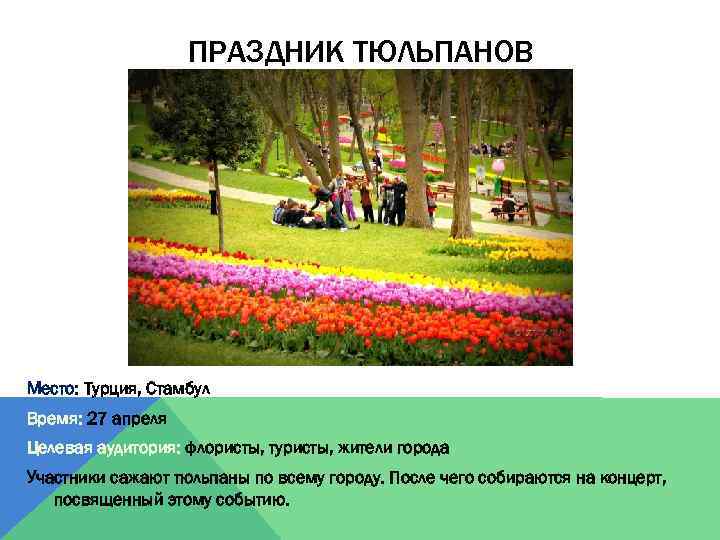 ПРАЗДНИК ТЮЛЬПАНОВ Место: Турция, Стамбул Время: 27 апреля Целевая аудитория: флористы, туристы, жители города