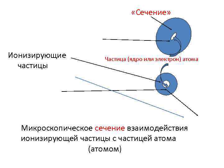  «Сечение» Ионизирующие частицы Частица (ядро или электрон) атома Микроскопическое сечение взаимодействия ионизирующей частицы