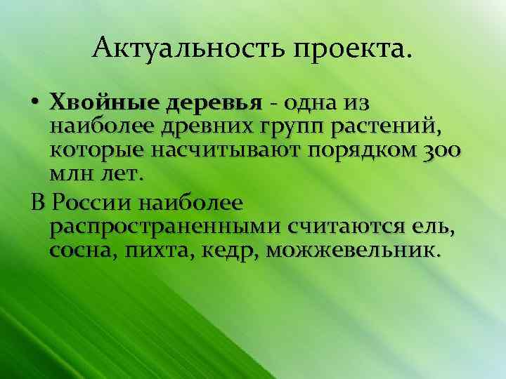 Актуальность проекта. • Хвойные деревья - одна из наиболее древних групп растений, которые насчитывают