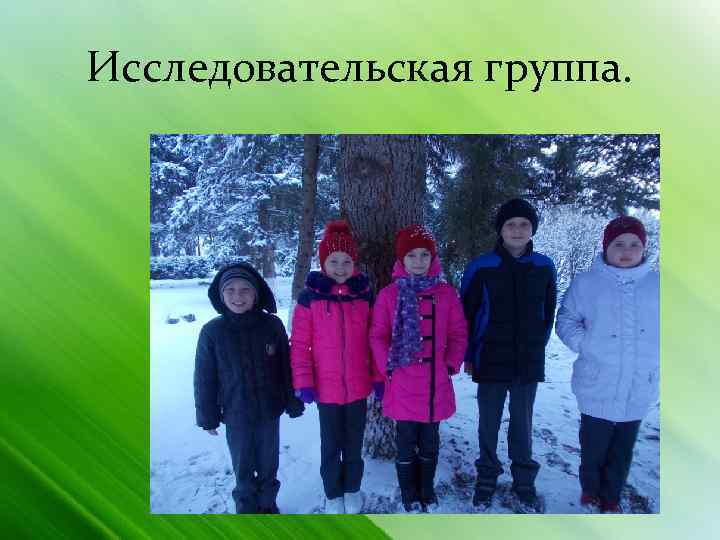 Исследовательская группа. 