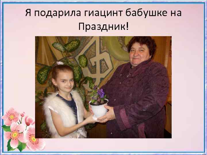 Я подарила гиацинт бабушке на Праздник! 