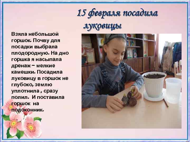 Взяла небольшой горшок. Почву для посадки выбрала плодородную. На дно горшка я насыпала дренаж