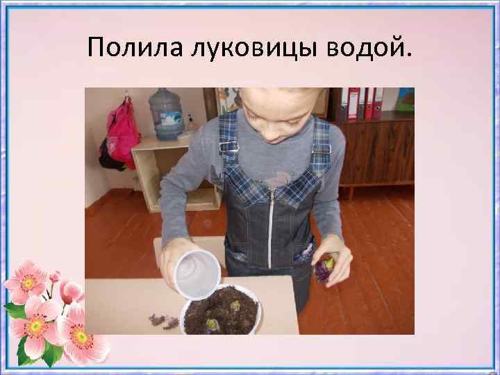 Полила луковицы водой. 