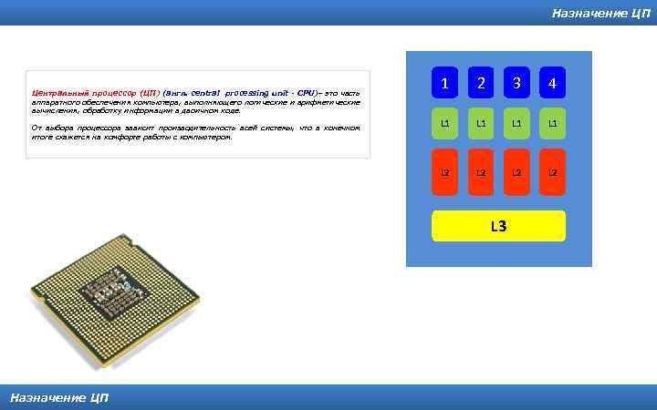 Назначение ЦП От выбора процессора зависит производительность всей системы, что в конечном итоге скажется