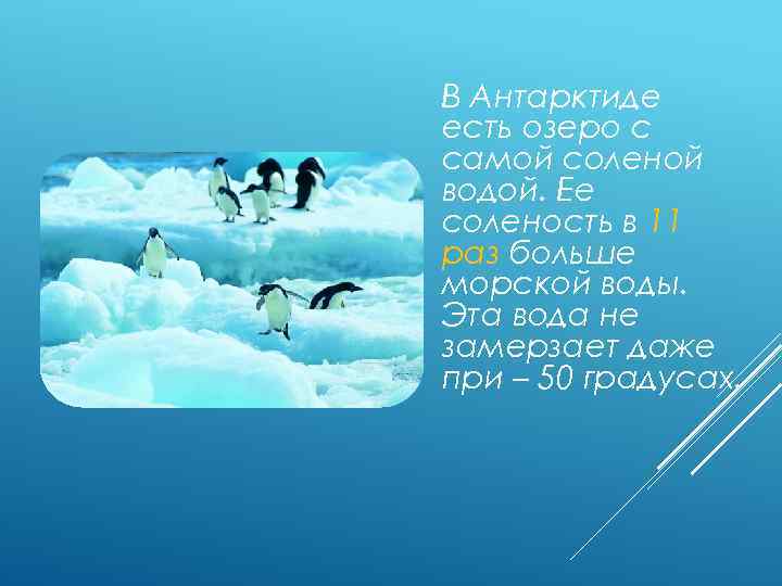 В Антарктиде есть озеро с самой соленой водой. Ее соленость в 11 раз больше