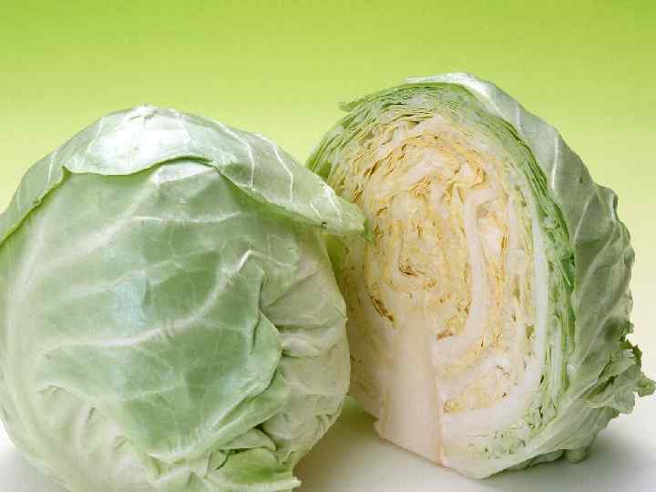 5. Угадай растение В Древнем Риме ее называли «капут» , что означает «голова» ,