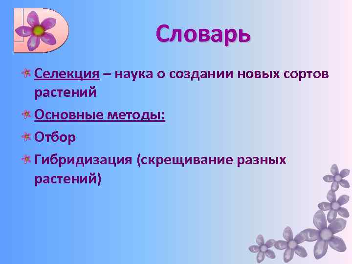 Словарь Селекция – наука о создании новых сортов растений Основные методы: Отбор Гибридизация (скрещивание