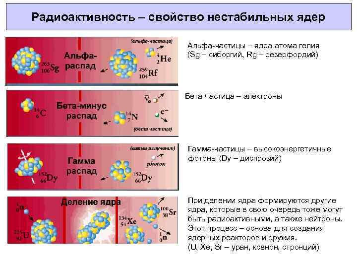 Радиоактивность – свойство нестабильных ядер Альфа-частицы – ядра атома гелия (Sg – сиборгий, Rg