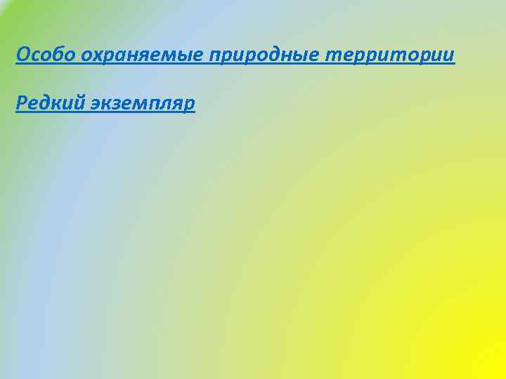 Особо охраняемые природные территории Редкий экземпляр 