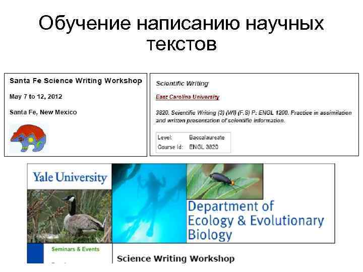 Обучение написанию научных текстов 