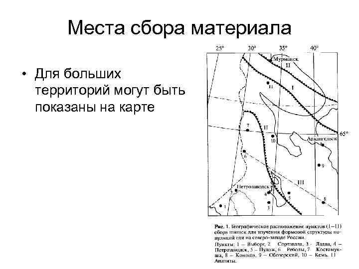 Места сбора материала • Для больших территорий могут быть показаны на карте 