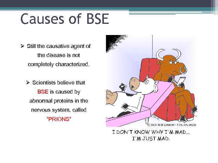 Causes of BSE Ø Still the causative agent of the disease is not completely