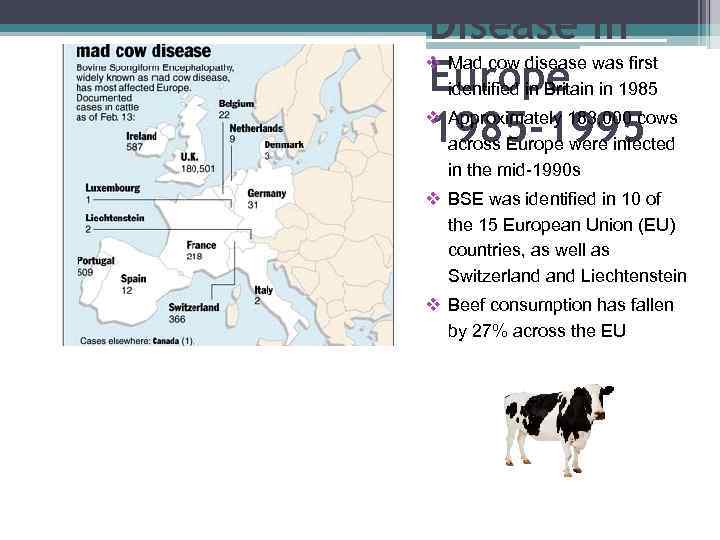 Disease in v Mad cow disease was first Europe in 1985 identified in Britain