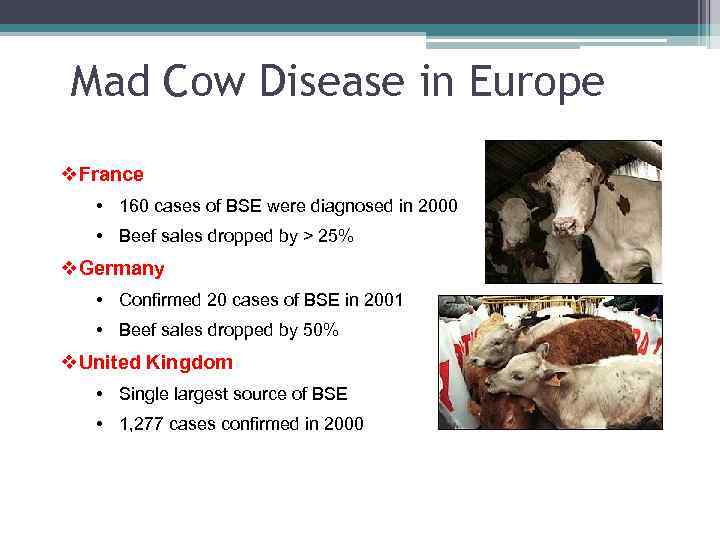 Mad Cow Disease in Europe v. France • 160 cases of BSE were diagnosed