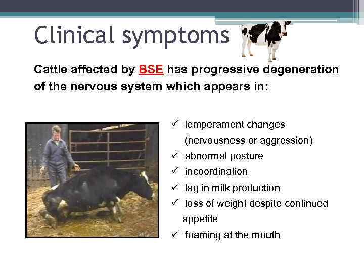 Clinical symptoms Cattle affected by BSE has progressive degeneration of the nervous system which