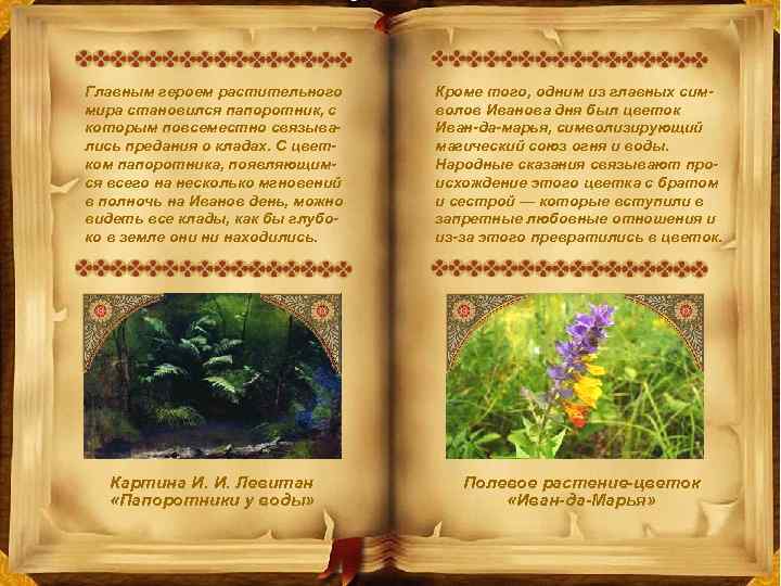 Главным героем растительного мира становился папоротник, с которым повсеместно связывались предания о кладах. С