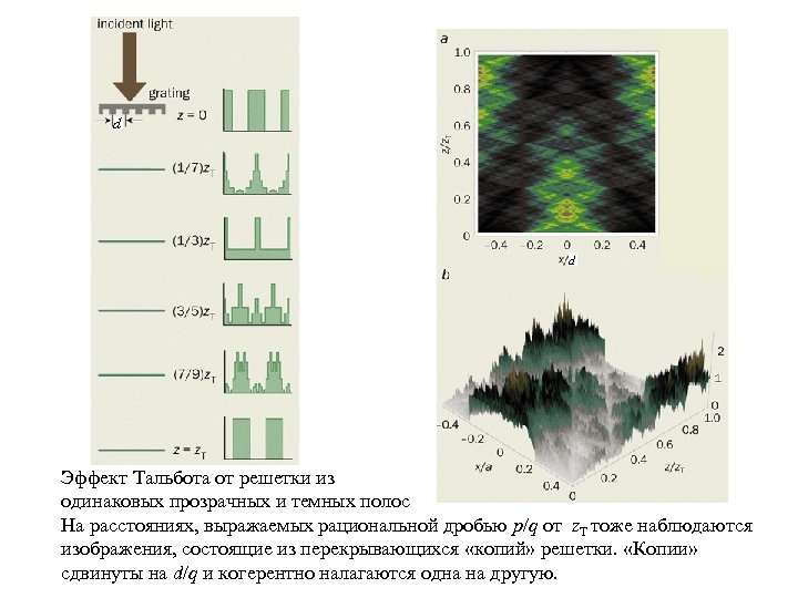 d d Эффект Тальбота от решетки из одинаковых прозрачных и темных полос На расстояниях,