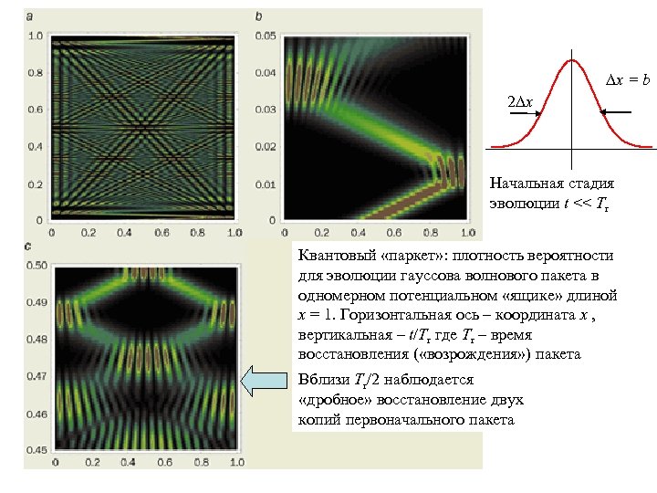  x = b 2 x Начальная стадия эволюции t << Tr Квантовый «паркет»