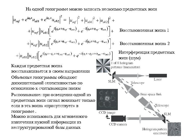 На одной голограмме можно записать несколько предметных волн Восстановленная волна 1 Восстановленная волна 2