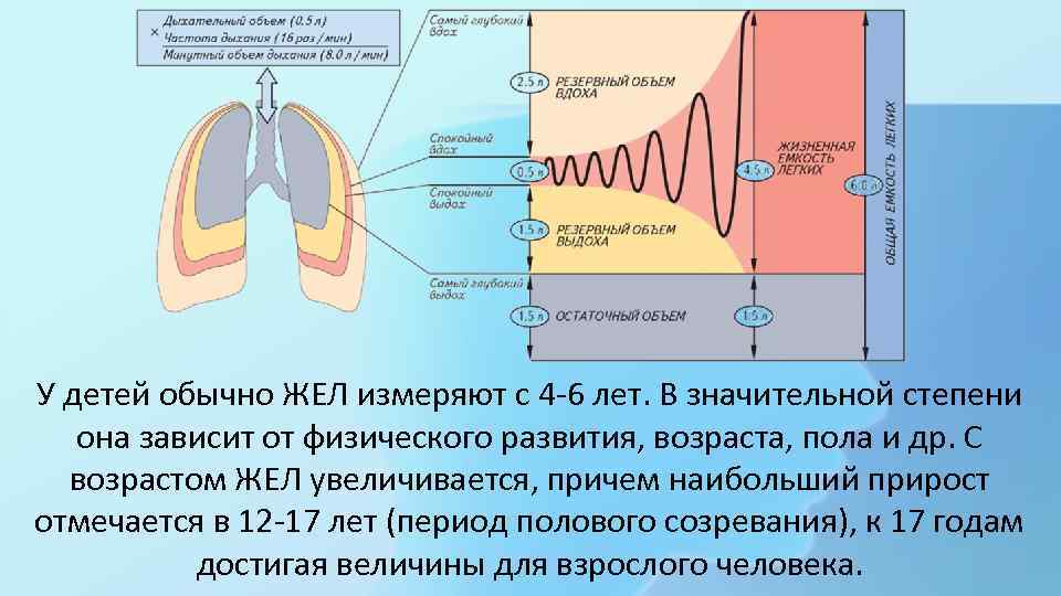 Измерение жизненной емкости легких