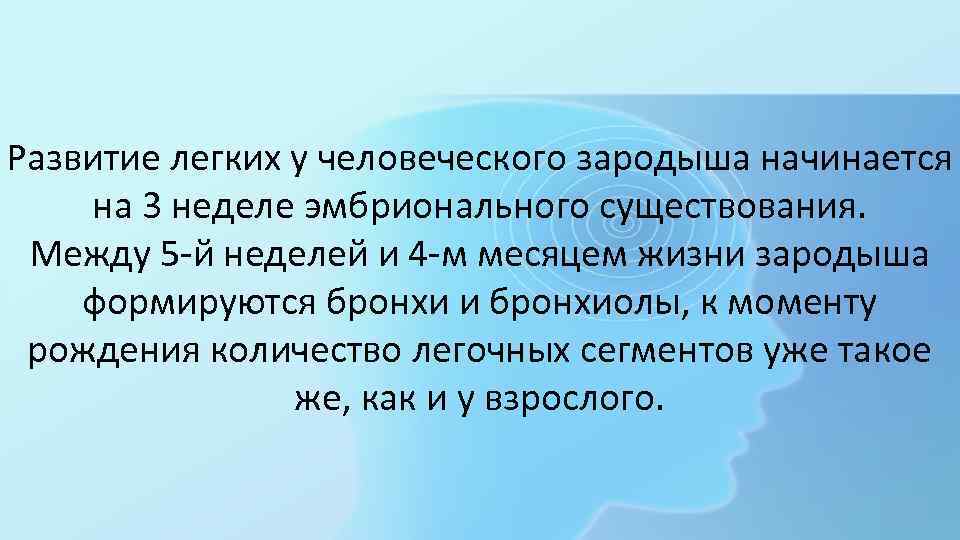 Развитие легких у человеческого зародыша начинается на 3 неделе эмбрионального существования. Между 5 -й