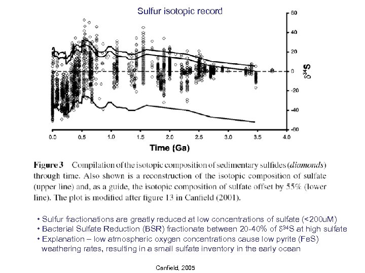 Sulfur isotopic record • Sulfur fractionations are greatly reduced at low concentrations of sulfate