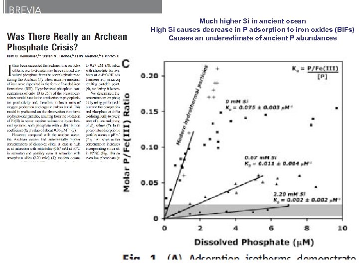 Much higher Si in ancient ocean High Si causes decrease in P adsorption to
