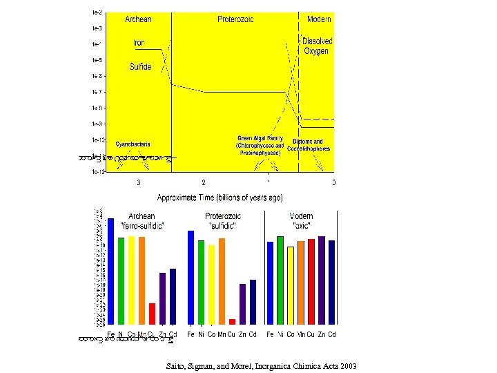 Saito, Sigman, and Morel, Inorganica Chimica Acta 2003 