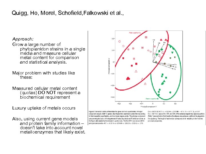 Quigg, Ho, Morel, Schofield, Falkowski et al. , Approach: Grow a large number of