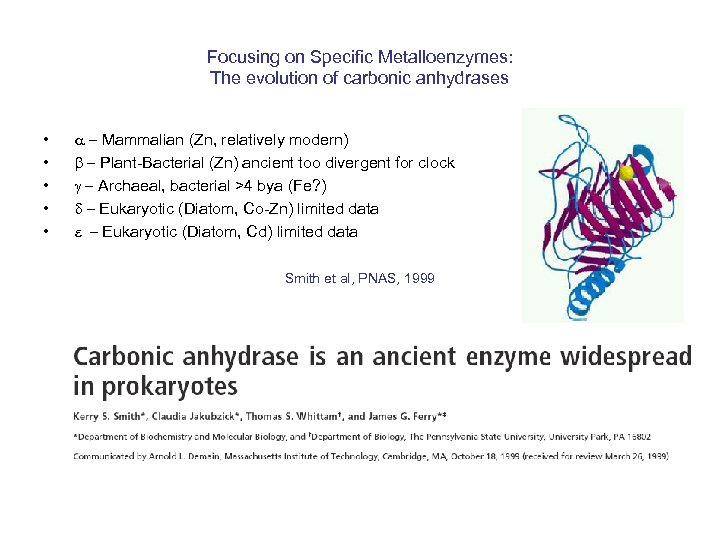 Focusing on Specific Metalloenzymes: The evolution of carbonic anhydrases • • • a -