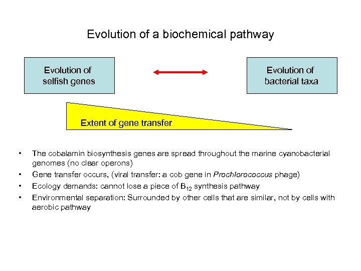Evolution of a biochemical pathway Evolution of selfish genes Evolution of bacterial taxa Extent