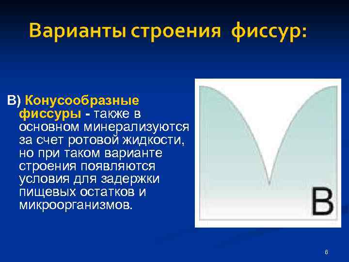 B) Конусообразные фиссуры - также в основном минерализуются за счет ротовой жидкости, но при