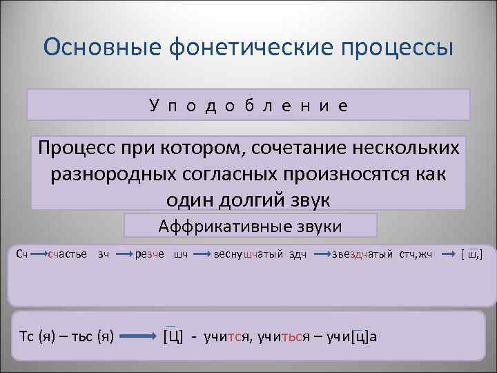 Основные фонетические процессы У п о д о б л е н и е