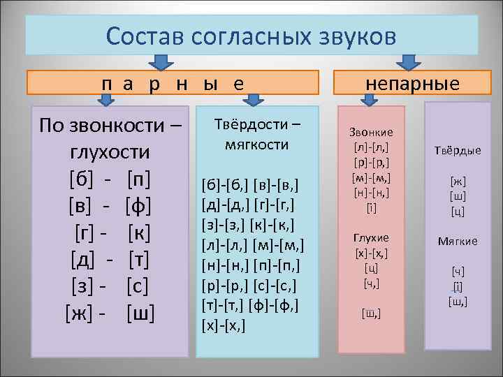 Состав согласных звуков п а р н ы е По звонкости – глухости [б]