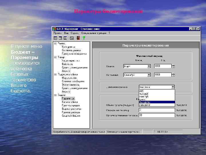 Параметры бюджетирования В пункте меню Бюджет – Параметры производится установка базовых параметров Вашего бюджета.