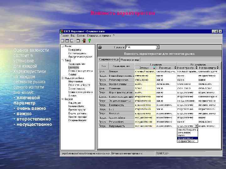 Важность характеристик Оценка важности состоит в установке для каждой Характеристики на каждом сегменте рынка