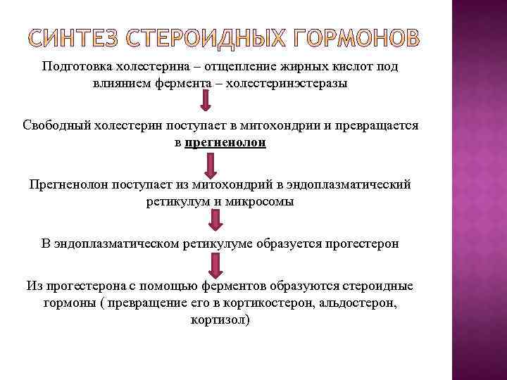 На рисунке схематично изображено гуморальное влияние гипофиза на функционирование щитовидной железы